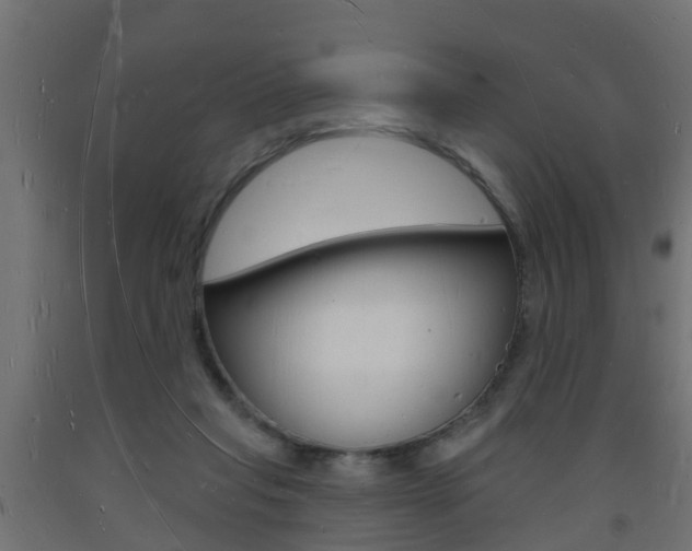 X0000093720261200710160757