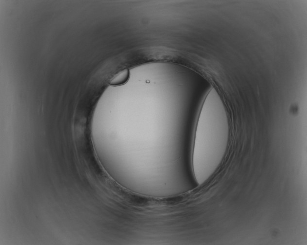 X0000093720263200710160757