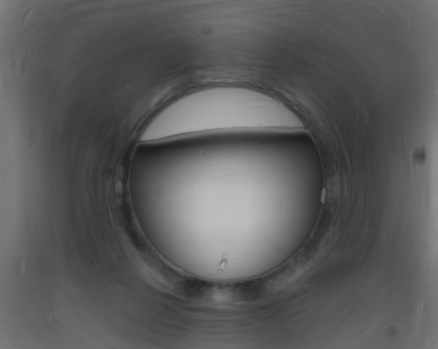 X0000093720264200710160757