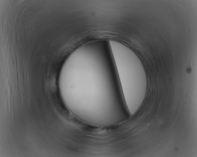 X0000093720267200710160757