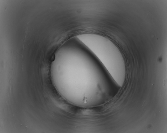 X0000093720268200710160757