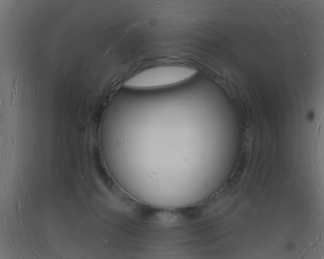 X0000093720272200710160757