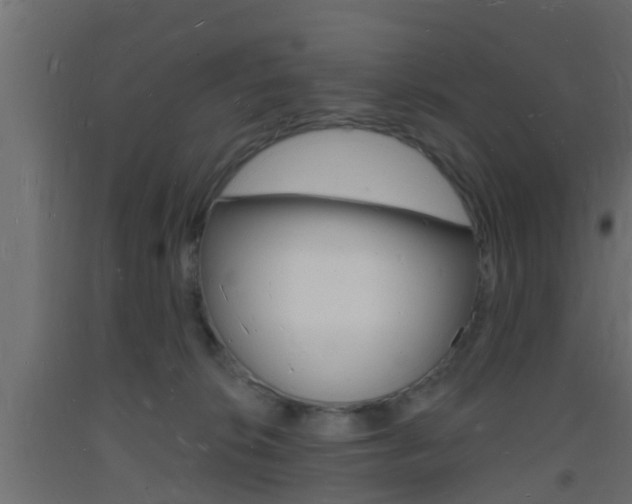 X0000093720276200710160758