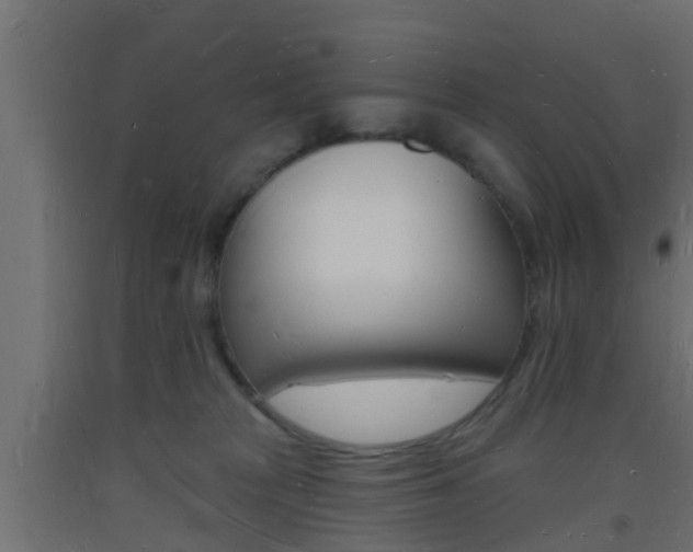 X0000093720277200710160758
