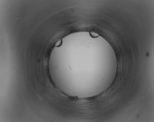 X0000093720278200710160758