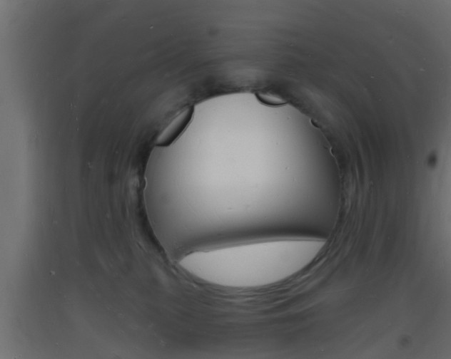 X0000093720279200710160758