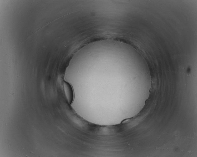 X0000093720286200710160758
