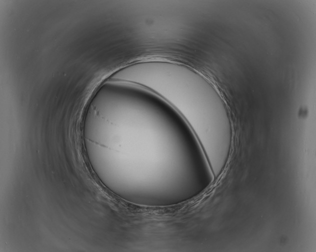 X0000093720289200710160757