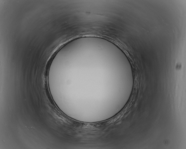 X0000093720290200710160757