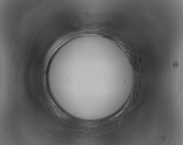 X0000093720293200710160757