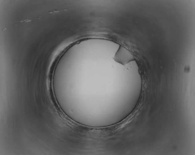 X0000093720294200710160757