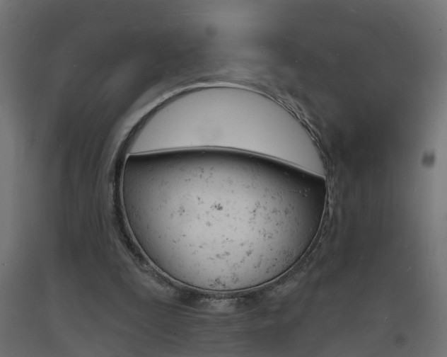 X0000093720295200710160757