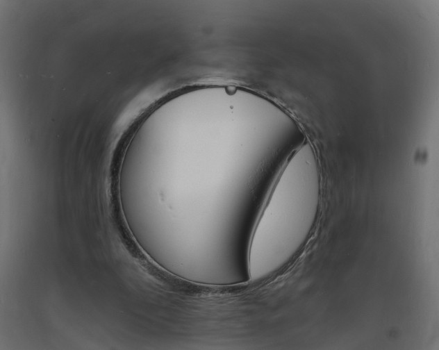 X0000093720296200710160757