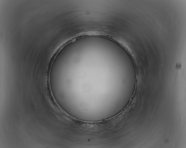 X0000093720297200710160757