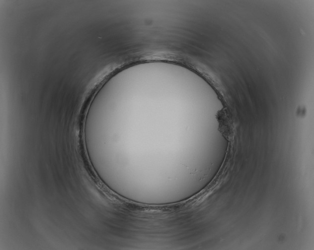 X0000093720298200710160757