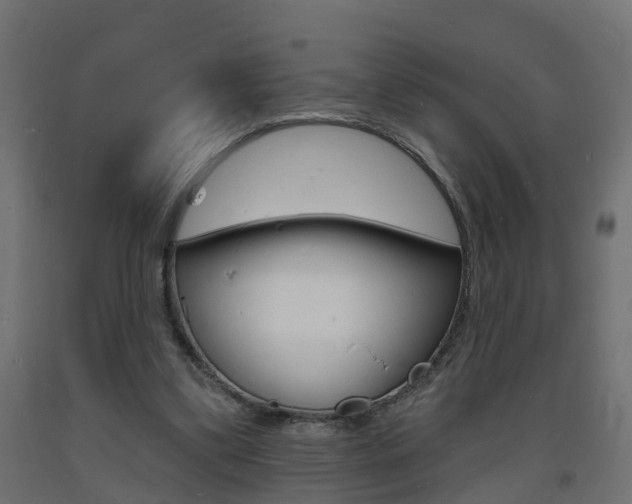 X0000093720299200710160757