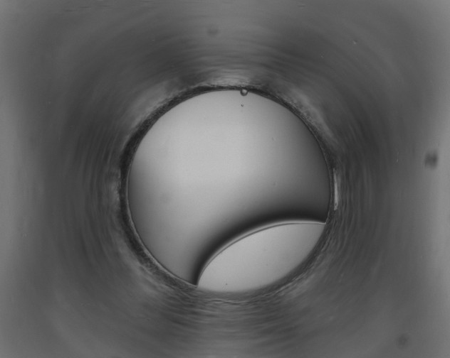 X0000093720300200710160757