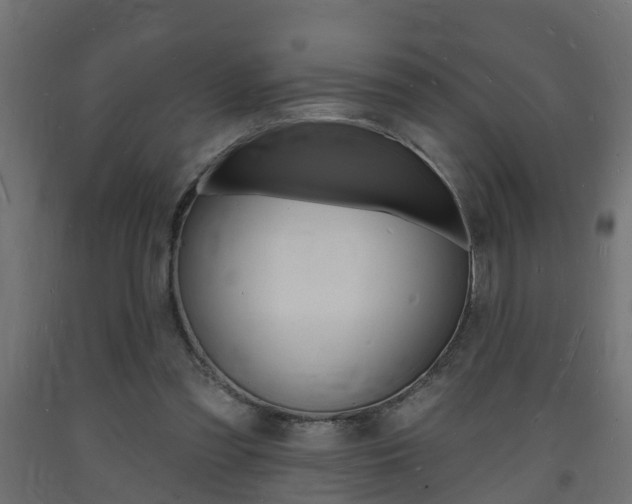 X0000093720301200710160757