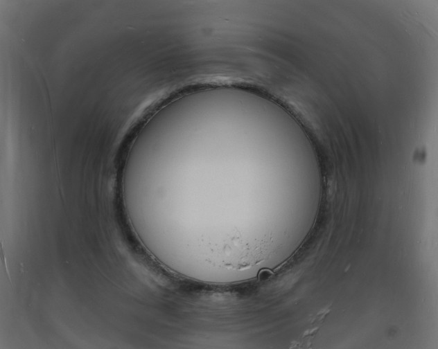 X0000093720304200710160757