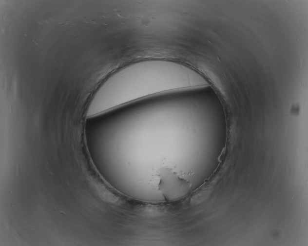 X0000093720305200710160757