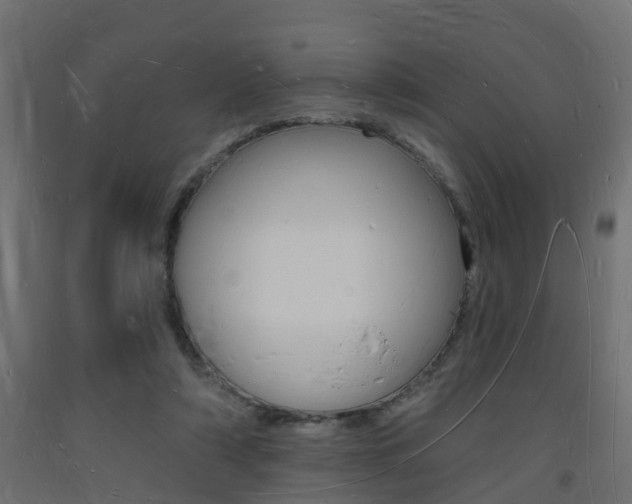 X0000093720306200710160757