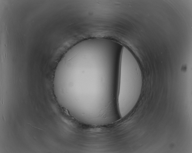 X0000093720307200710160757