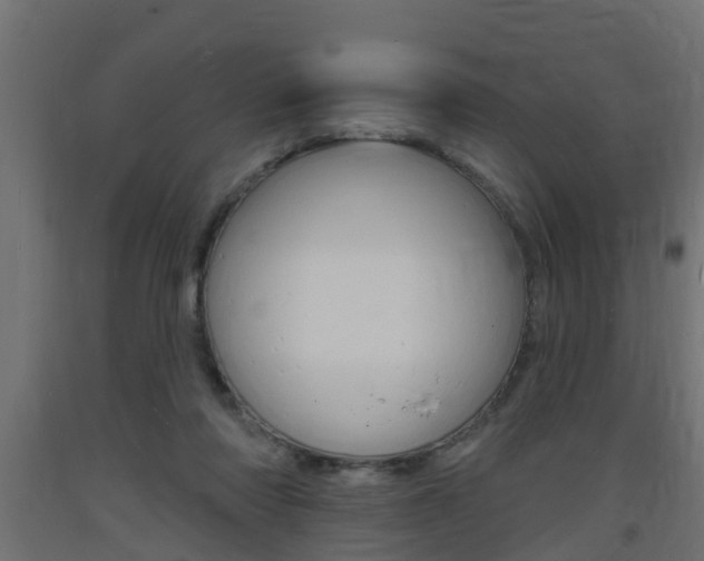 X0000093720310200710160757