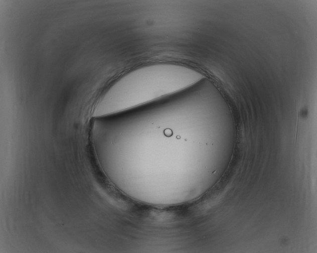 X0000093720311200710160757