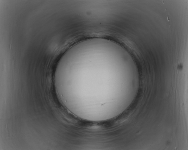 X0000093720312200710160757