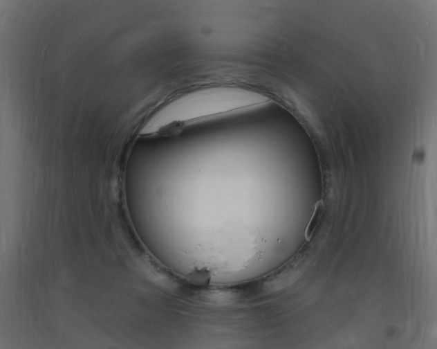 X0000093720313200710160757