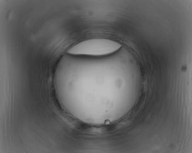 X0000093720314200710160757