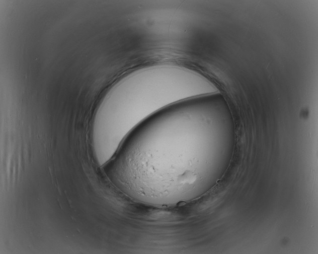 X0000093720315200710160757