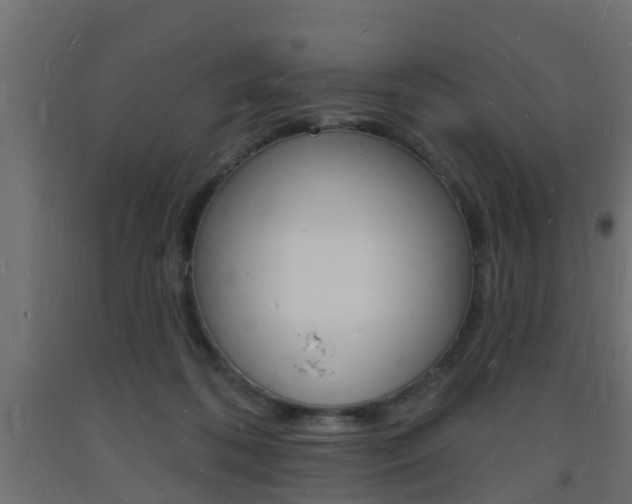 X0000093720316200710160756