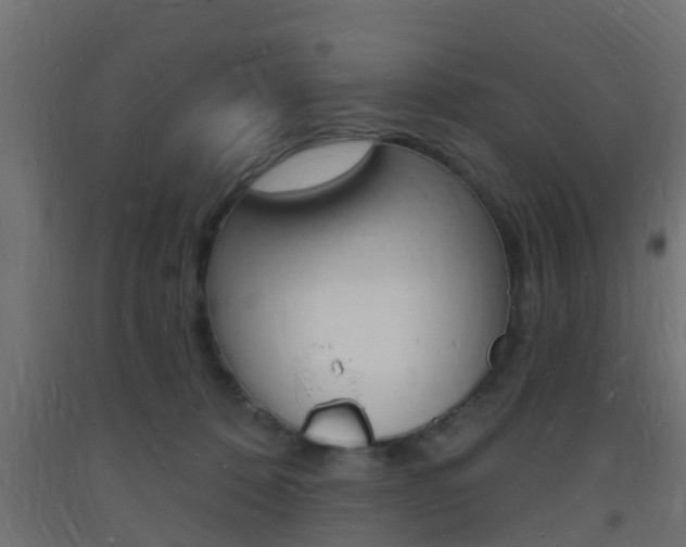 X0000093720320200710160756
