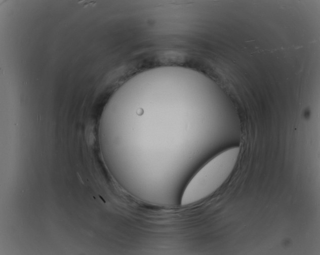 X0000093720323200710160756