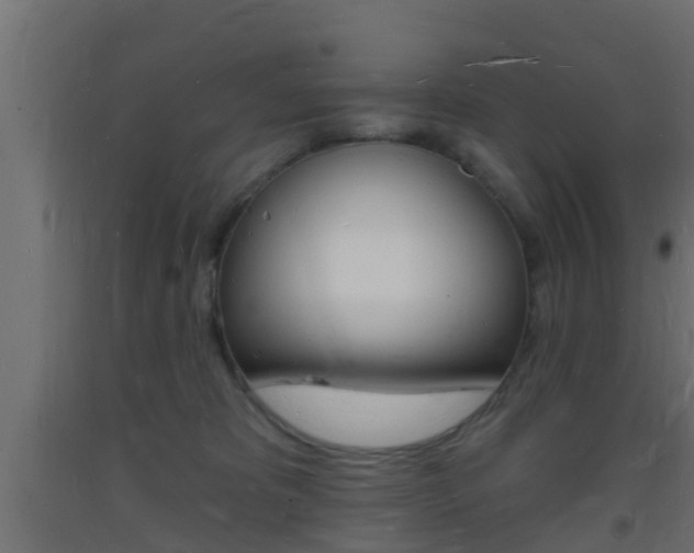 X0000093720325200710160756