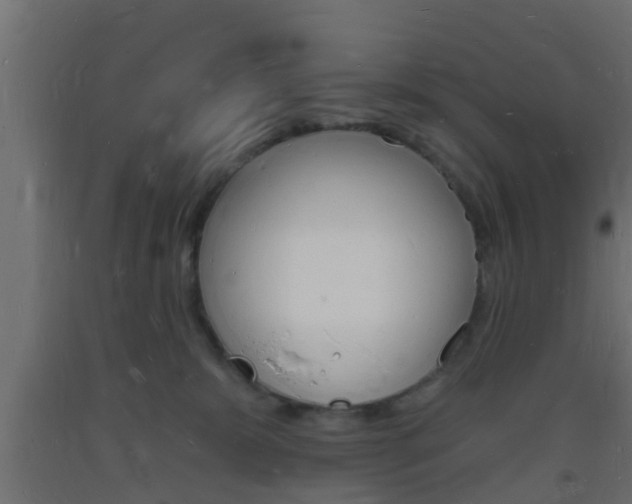 X0000093720327200710160756