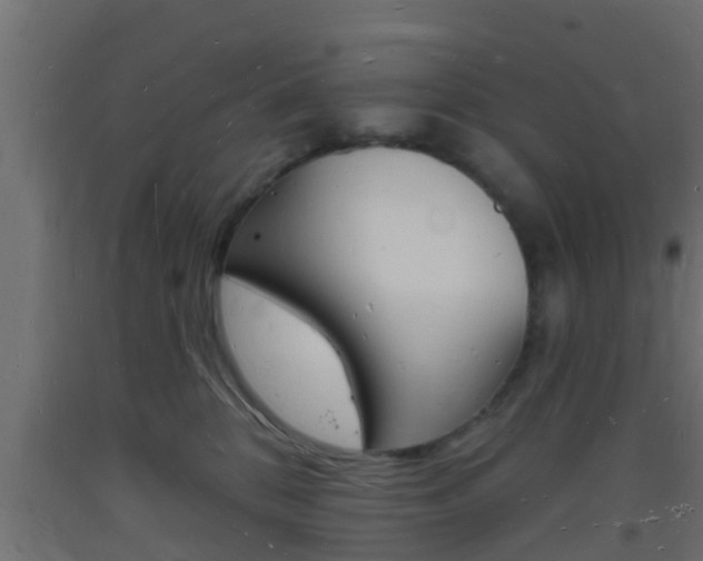 X0000093720328200710160756