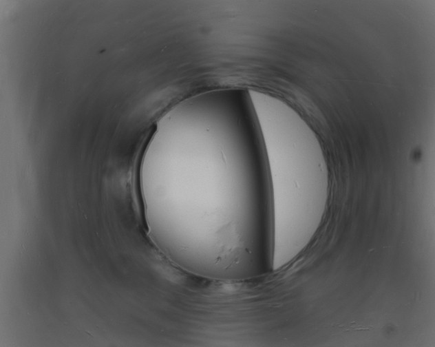 X0000093720329200710160756