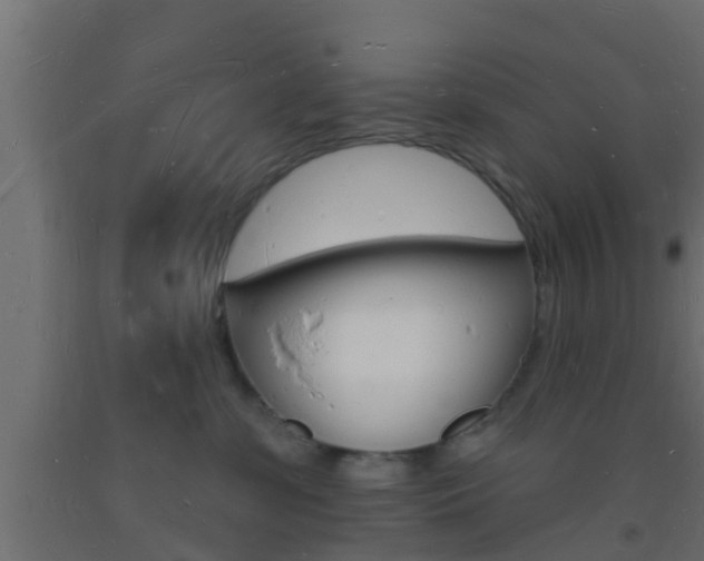 X0000093720331200710160756