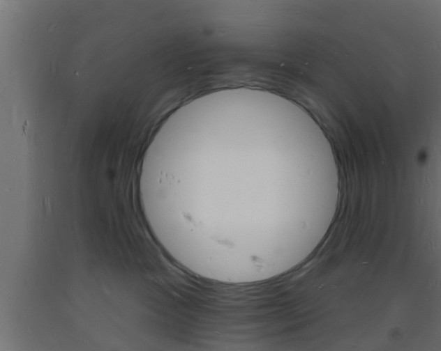 X0000093720333200710160756