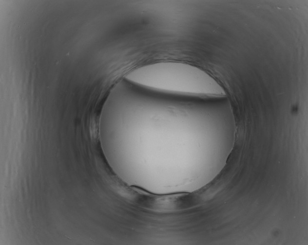 X0000093720335200710160756
