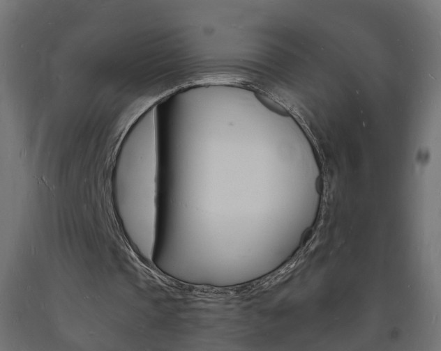 X0000093720337200710160756