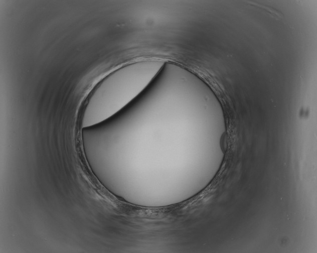 X0000093720338200710160756