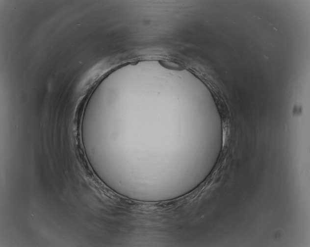 X0000093720339200710160756