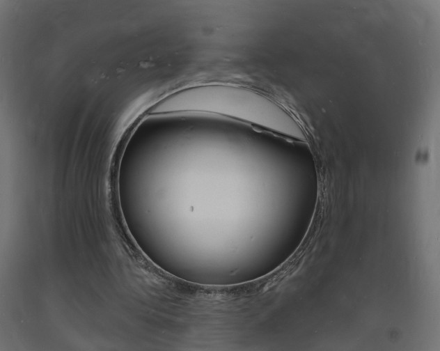 X0000093720340200710160756