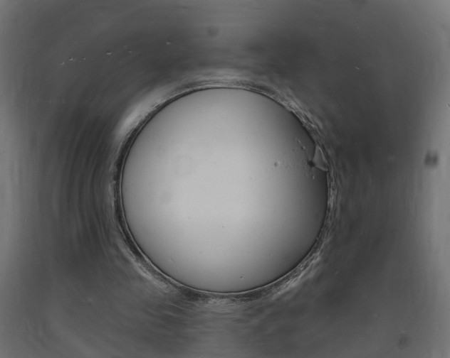 X0000093720341200710160756