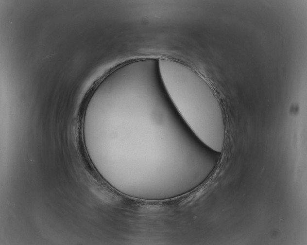 X0000093720342200710160756