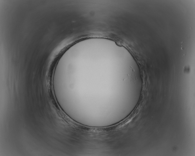 X0000093720343200710160756
