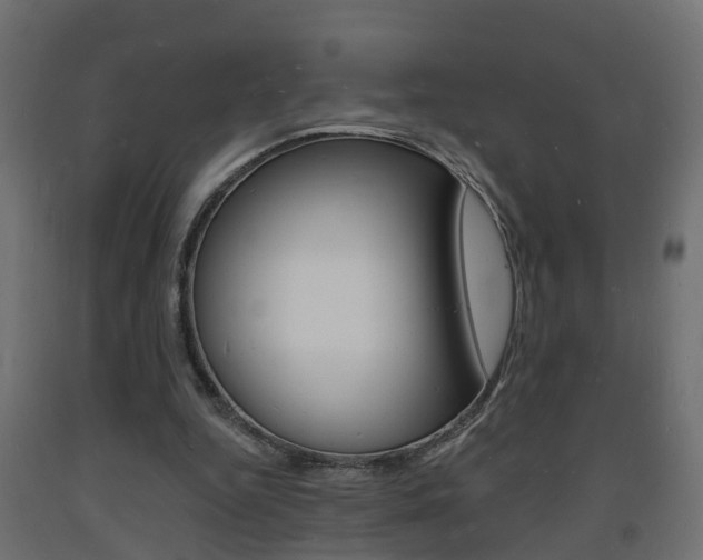X0000093720344200710160756